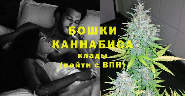 дживик Гусиноозёрск