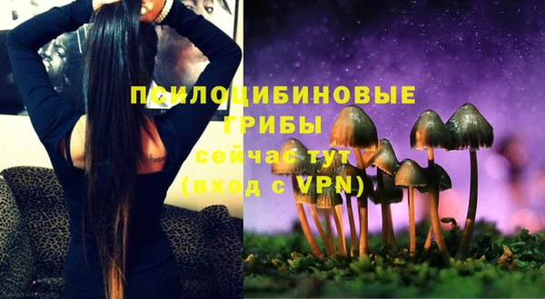 mdma Гусев